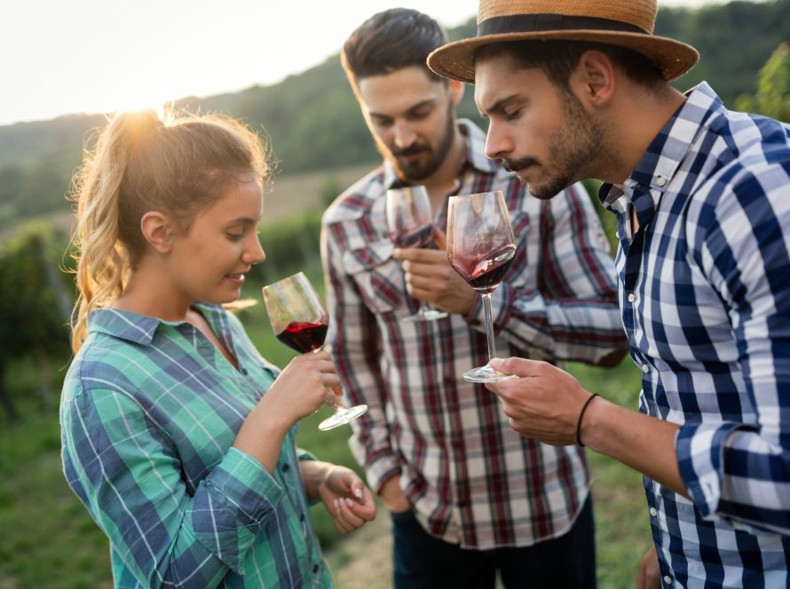Happy people tasting wine in vineyard